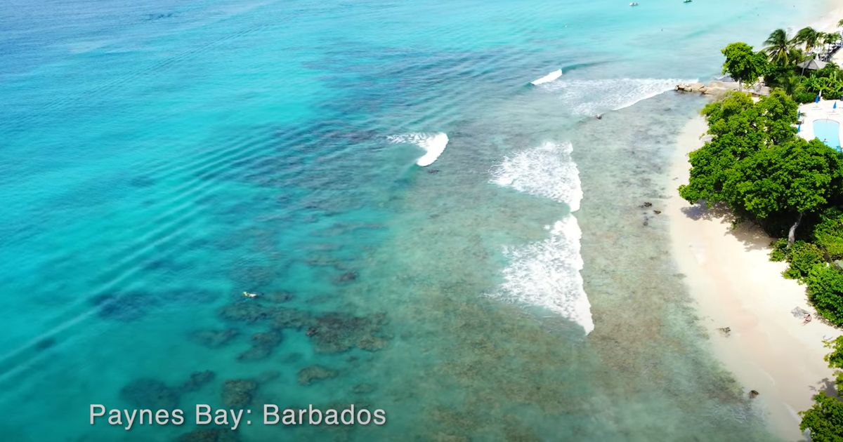 Paynes Bay - Barbados By Drone