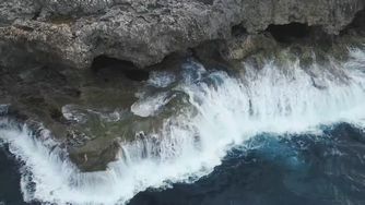 Animal Flower Cave