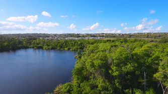 Beach and Mangroves