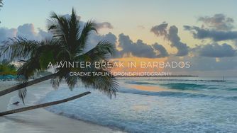 A Winter Break in Barbados